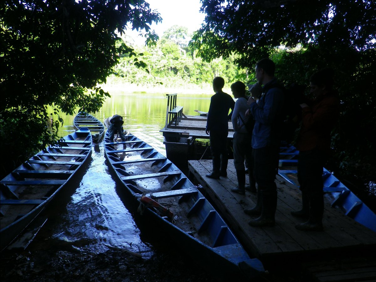 Amazon - Peru30